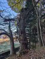 千野川社(長野県)