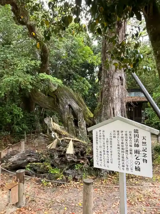 大山祇神社(愛媛県)