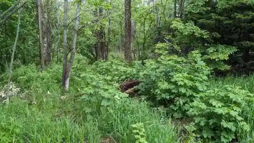 端野神社の自然