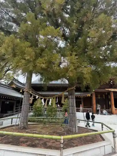 寒川神社の{uncategorized: "未分類", other: "その他", undefined: "問題あり", building: "その他建物", grave: "お墓", sacred_gate: "鳥居", guardian: "狛犬", statue: "像", buddha: "仏像", history: "歴史", nature: "自然", garden: "庭園", animal: "動物", pagoda: "塔", temizu: "手水舎", mountain_gate: "山門・神門", sanctuary: "本殿・本堂", subordinate: "末社・摂社", art: "芸術", scenery: "景色", jizo: "地蔵", ema: "絵馬", goshuin: "御朱印", omikuji: "おみくじ", items: "授与品その他", amulet: "お守り", goshuincho: "御朱印帳", eats: "食事", festival: "お祭り", votive_dance: "神楽", shichigosan: "七五三参", wedding: "結婚式", experience: "体験その他", initially: "初詣", around: "周辺", anti_infection: "感染症対策"}