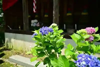 光照寺(新潟県)