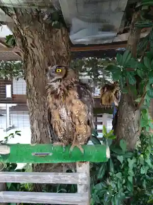 宮地嶽神社(福岡県)