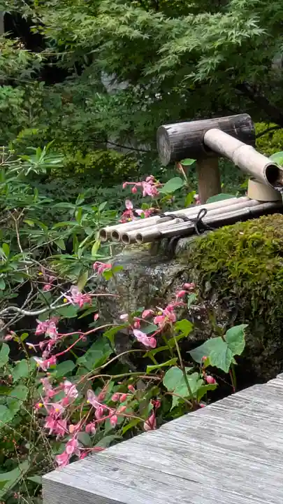 宝泉院(京都府)