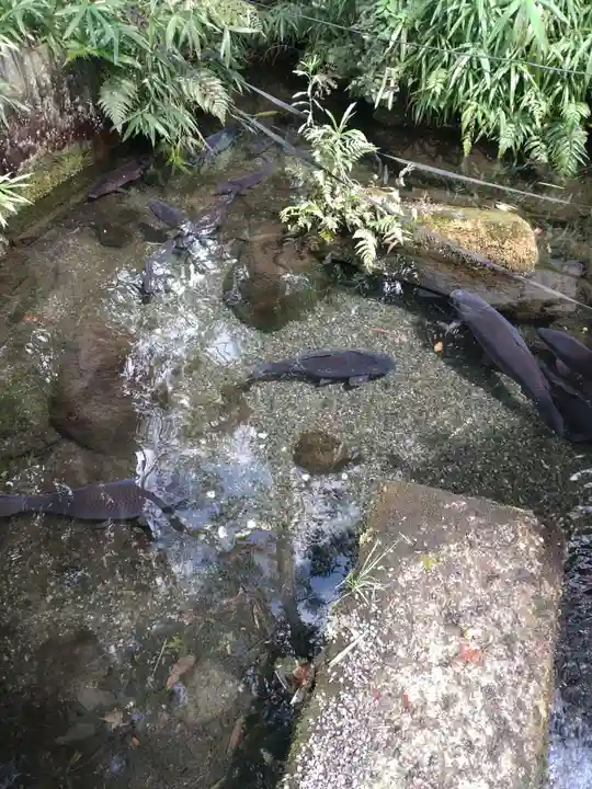 西郡神社(滋賀県)