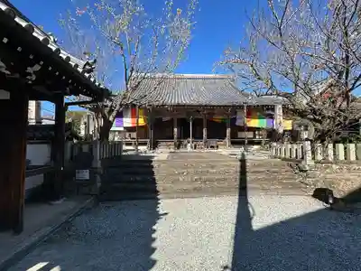 櫻本坊の本殿・本堂