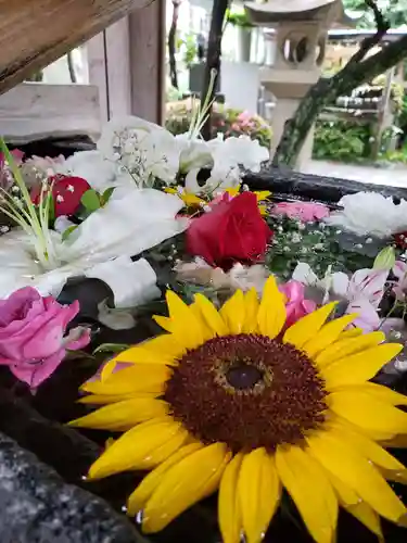 鳩森八幡神社の手水舎