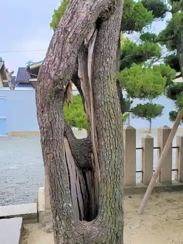 貴布禰神社の自然