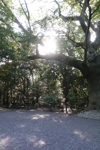 月夜見宮（豊受大神宮別宮）の自然