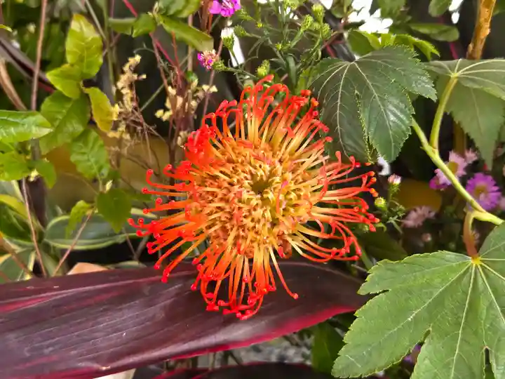 生田神社(兵庫県)