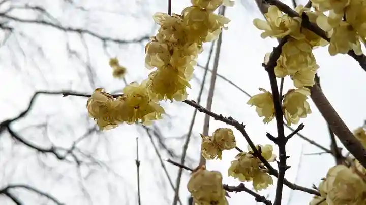 惠心院(京都府)