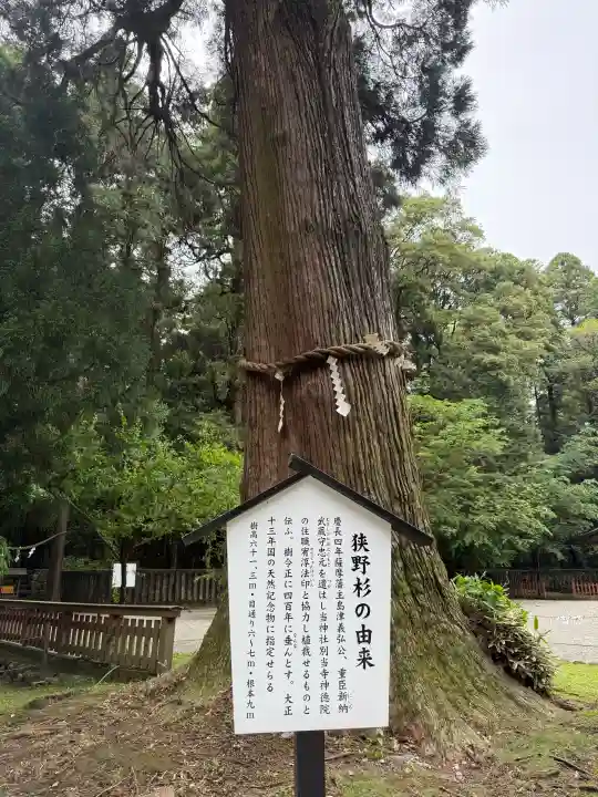 狭野神社の{uncategorized: "未分類", other: "その他", undefined: "問題あり", building: "その他建物", grave: "お墓", sacred_gate: "鳥居", guardian: "狛犬", statue: "像", buddha: "仏像", history: "歴史", nature: "自然", garden: "庭園", animal: "動物", pagoda: "塔", temizu: "手水舎", mountain_gate: "山門・神門", sanctuary: "本殿・本堂", subordinate: "末社・摂社", art: "芸術", scenery: "景色", jizo: "地蔵", ema: "絵馬", goshuin: "御朱印", omikuji: "おみくじ", items: "授与品その他", amulet: "お守り", goshuincho: "御朱印帳", eats: "食事", festival: "お祭り", votive_dance: "神楽", shichigosan: "七五三参", wedding: "結婚式", experience: "体験その他", initially: "初詣", around: "周辺", anti_infection: "感染症対策"}