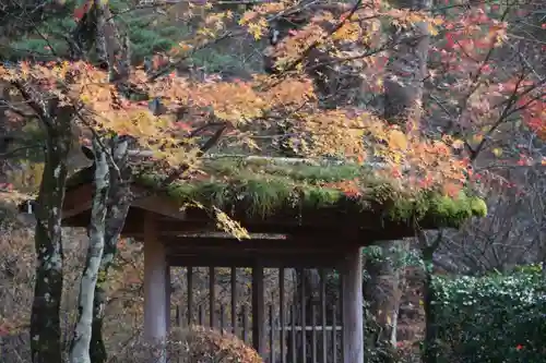 徳善院明王密寺の庭園