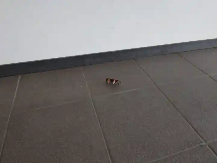 宗像大社中津宮(福岡県)