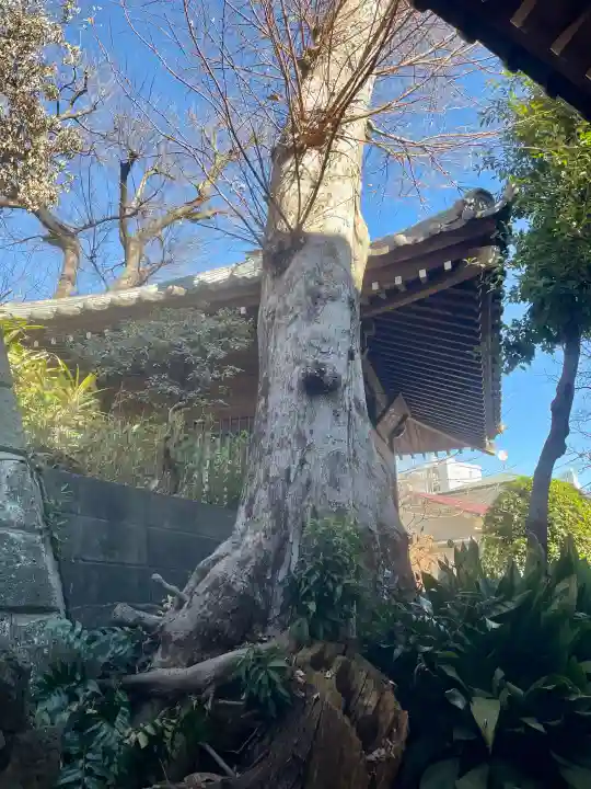 蟠龍寺の{uncategorized: "未分類", other: "その他", undefined: "問題あり", building: "その他建物", grave: "お墓", sacred_gate: "鳥居", guardian: "狛犬", statue: "像", buddha: "仏像", history: "歴史", nature: "自然", garden: "庭園", animal: "動物", pagoda: "塔", temizu: "手水舎", mountain_gate: "山門・神門", sanctuary: "本殿・本堂", subordinate: "末社・摂社", art: "芸術", scenery: "景色", jizo: "地蔵", ema: "絵馬", goshuin: "御朱印", omikuji: "おみくじ", items: "授与品その他", amulet: "お守り", goshuincho: "御朱印帳", eats: "食事", festival: "お祭り", votive_dance: "神楽", shichigosan: "七五三参", wedding: "結婚式", experience: "体験その他", initially: "初詣", around: "周辺", anti_infection: "感染症対策"}