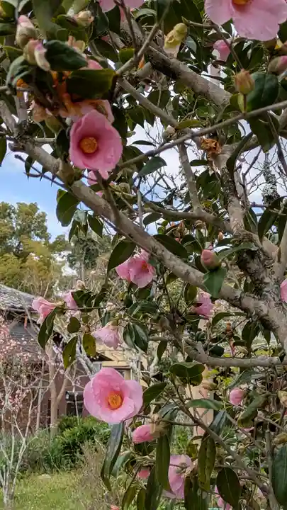 惠心院(京都府)