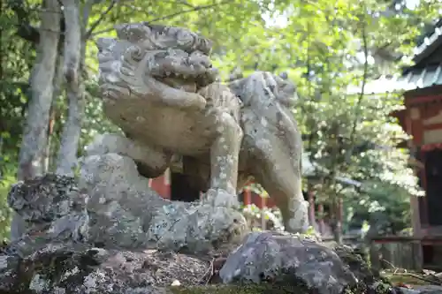 筑波山神社の狛犬