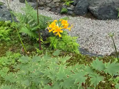 宝筐院(京都府)