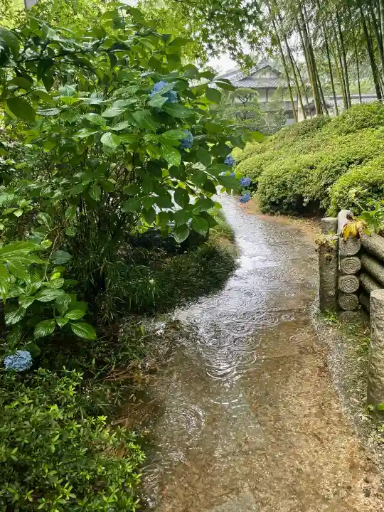資福寺の{uncategorized: "未分類", other: "その他", undefined: "問題あり", building: "その他建物", grave: "お墓", sacred_gate: "鳥居", guardian: "狛犬", statue: "像", buddha: "仏像", history: "歴史", nature: "自然", garden: "庭園", animal: "動物", pagoda: "塔", temizu: "手水舎", mountain_gate: "山門・神門", sanctuary: "本殿・本堂", subordinate: "末社・摂社", art: "芸術", scenery: "景色", jizo: "地蔵", ema: "絵馬", goshuin: "御朱印", omikuji: "おみくじ", items: "授与品その他", amulet: "お守り", goshuincho: "御朱印帳", eats: "食事", festival: "お祭り", votive_dance: "神楽", shichigosan: "七五三参", wedding: "結婚式", experience: "体験その他", initially: "初詣", around: "周辺", anti_infection: "感染症対策"}