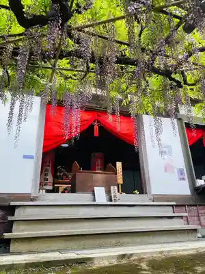 行興寺(静岡県)