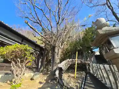 衣美須神社(和歌山県)