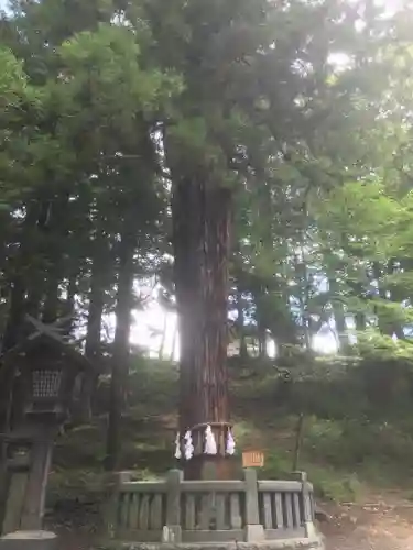 諏訪大社下社春宮(長野県)