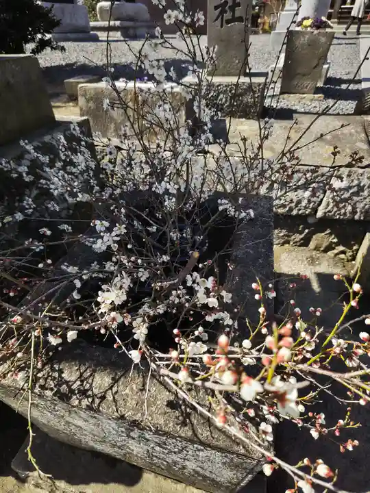 熊野福藏神社の自然