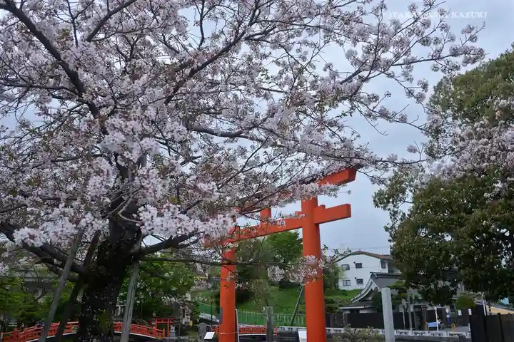 富士山本宮浅間大社の自然
