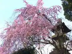 靖國神社の自然