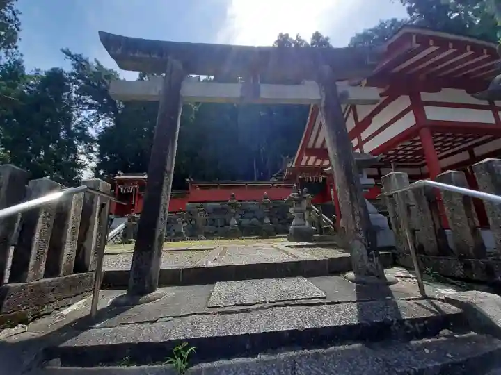 春日神社(奈良県)