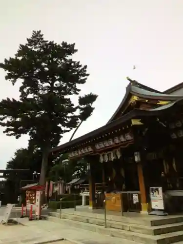 中野沼袋氷川神社(東京都)
