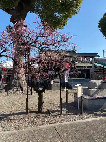 山田天満宮の庭園