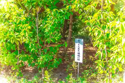 八重垣神社(宮城県)