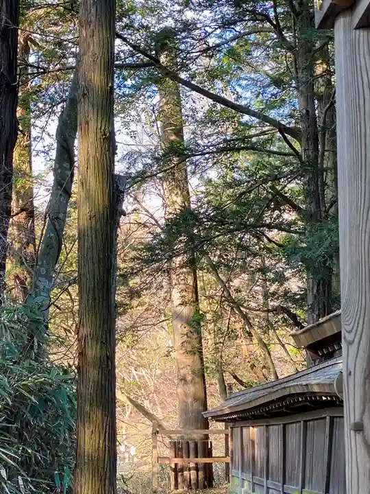 諏訪大社下社春宮の自然