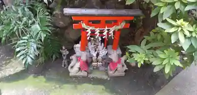 讃岐小白稲荷神社の鳥居