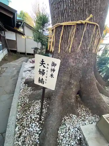鳩ヶ谷氷川神社(埼玉県)