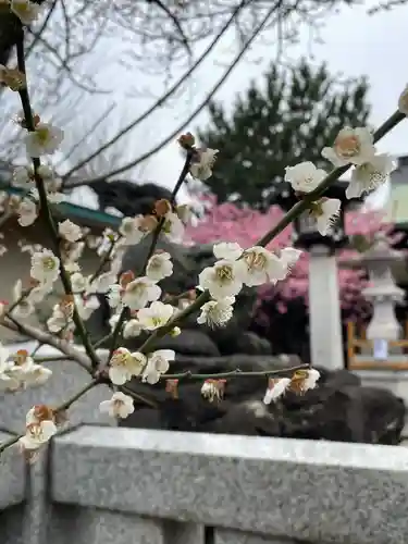 新宿下落合氷川神社(東京都)