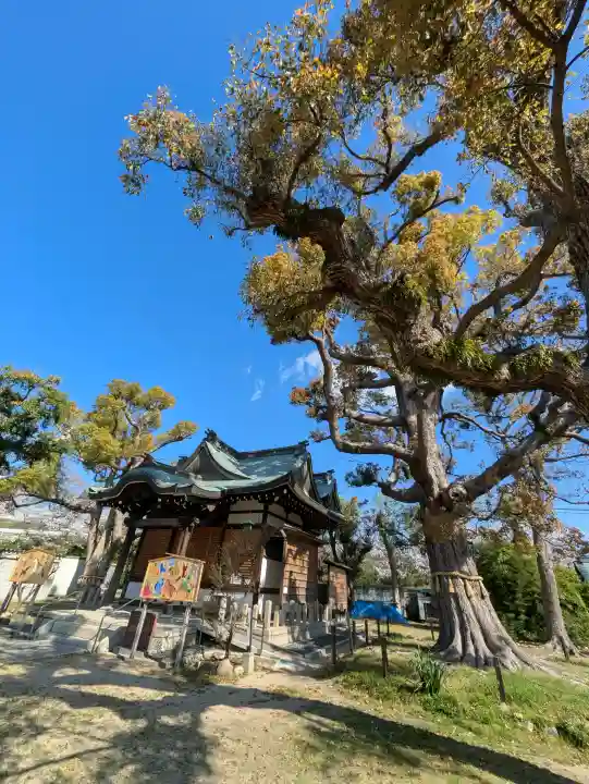 素盞嗚神社の{uncategorized: "未分類", other: "その他", undefined: "問題あり", building: "その他建物", grave: "お墓", sacred_gate: "鳥居", guardian: "狛犬", statue: "像", buddha: "仏像", history: "歴史", nature: "自然", garden: "庭園", animal: "動物", pagoda: "塔", temizu: "手水舎", mountain_gate: "山門・神門", sanctuary: "本殿・本堂", subordinate: "末社・摂社", art: "芸術", scenery: "景色", jizo: "地蔵", ema: "絵馬", goshuin: "御朱印", omikuji: "おみくじ", items: "授与品その他", amulet: "お守り", goshuincho: "御朱印帳", eats: "食事", festival: "お祭り", votive_dance: "神楽", shichigosan: "七五三参", wedding: "結婚式", experience: "体験その他", initially: "初詣", around: "周辺", anti_infection: "感染症対策"}