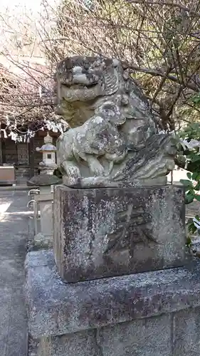 阿豆佐味天神社の狛犬