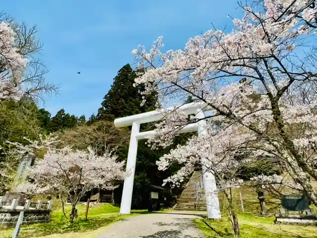 土津神社|こどもと出世の神さまの鳥居