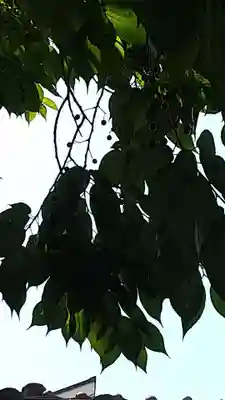 蔵前神社(東京都)
