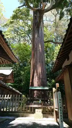 事任八幡宮の自然