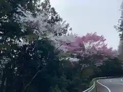 音無神社(愛媛県)