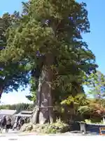 戸隠神社中社(長野県)