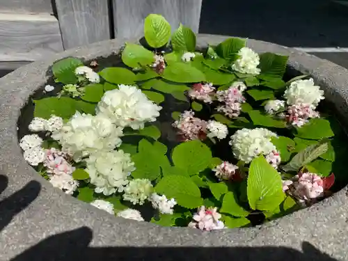 大聖護国寺(群馬県)