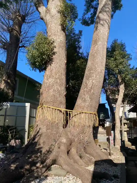 鳩ヶ谷氷川神社の{uncategorized: "未分類", other: "その他", undefined: "問題あり", building: "その他建物", grave: "お墓", sacred_gate: "鳥居", guardian: "狛犬", statue: "像", buddha: "仏像", history: "歴史", nature: "自然", garden: "庭園", animal: "動物", pagoda: "塔", temizu: "手水舎", mountain_gate: "山門・神門", sanctuary: "本殿・本堂", subordinate: "末社・摂社", art: "芸術", scenery: "景色", jizo: "地蔵", ema: "絵馬", goshuin: "御朱印", omikuji: "おみくじ", items: "授与品その他", amulet: "お守り", goshuincho: "御朱印帳", eats: "食事", festival: "お祭り", votive_dance: "神楽", shichigosan: "七五三参", wedding: "結婚式", experience: "体験その他", initially: "初詣", around: "周辺", anti_infection: "感染症対策"}