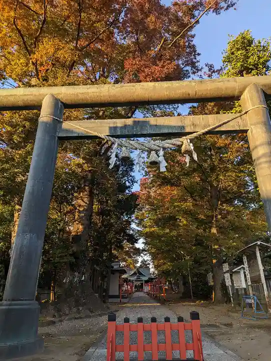 上野総社神社(群馬県)