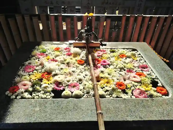 高円寺氷川神社(東京都)
