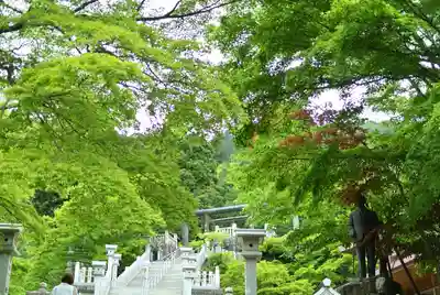 大山阿夫利神社(神奈川県)