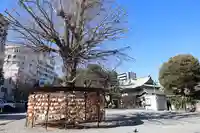 今戸神社(東京都)