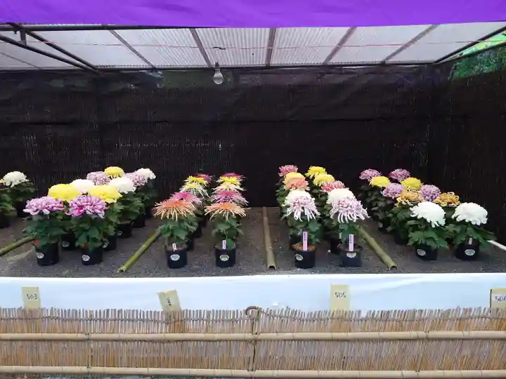 宗像大社(福岡県)